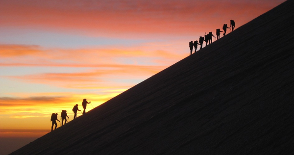 成绩价值 至专至精