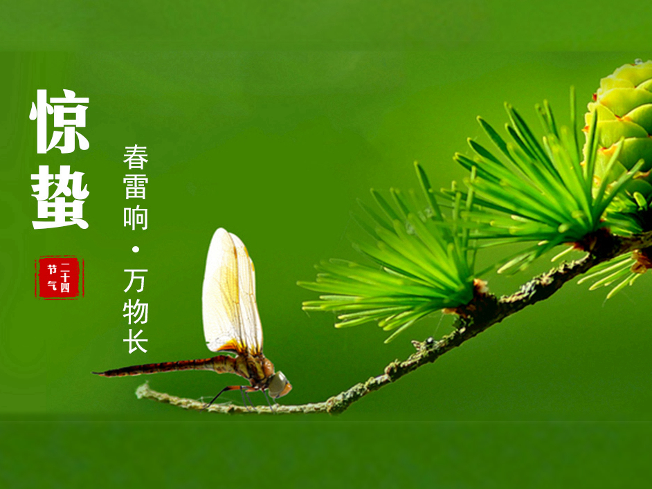 thumb_1709607676185437