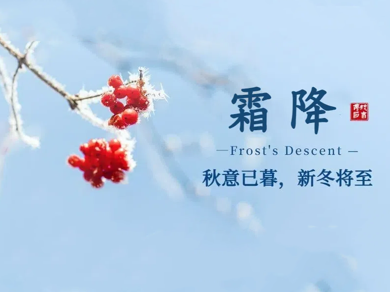 thumb_1729660750883533