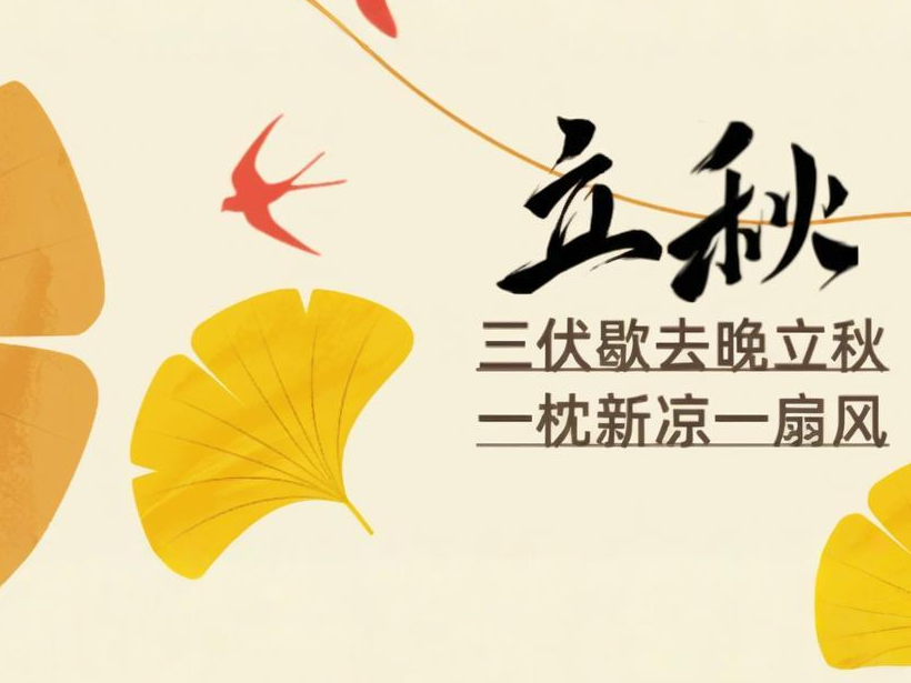 thumb_1754535586381988