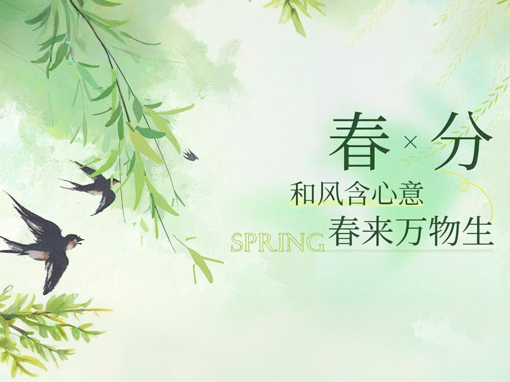 thumb_1773990665261935